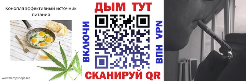 Cannafood конопля  Купить где  Нея 