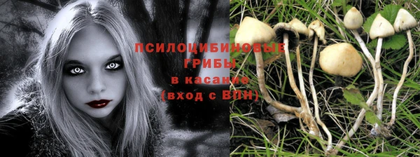 мет Лабытнанги