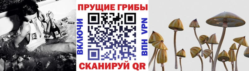 Галлюциногенные грибы ЛСД  Купить  Нея 